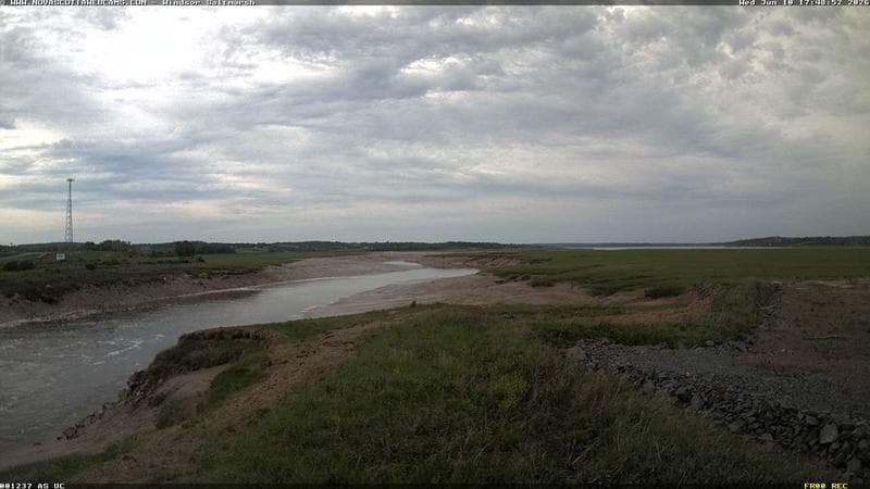 Windsor Salt Marsh