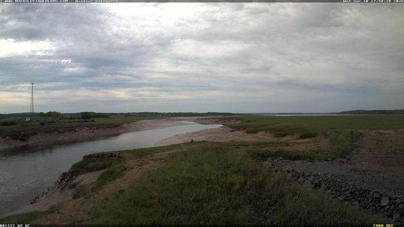 Windsor Salt Marsh