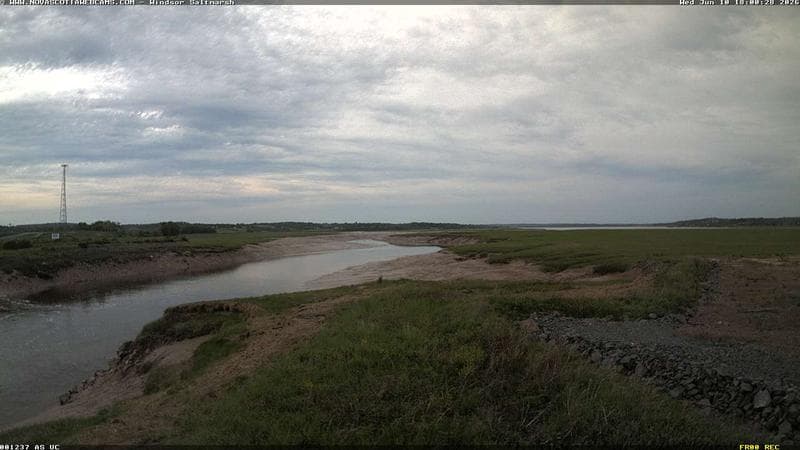 Windsor Salt Marsh