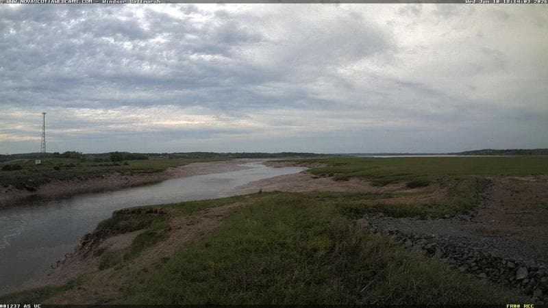 Windsor Salt Marsh