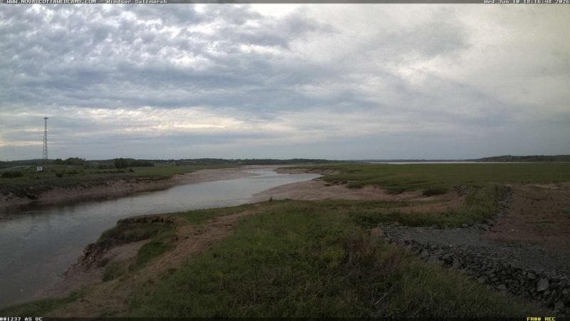 Windsor Salt Marsh