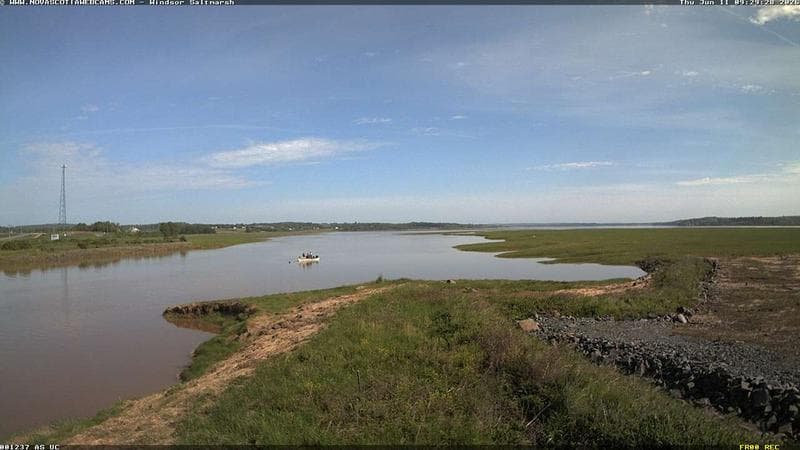 Windsor Salt Marsh