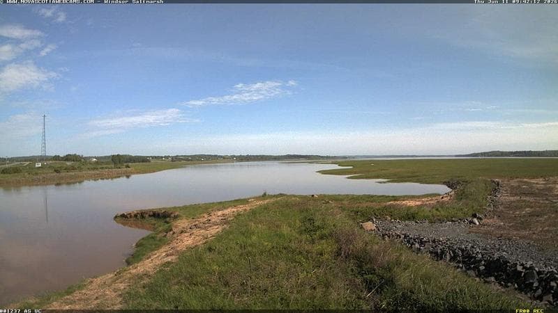 Windsor Salt Marsh