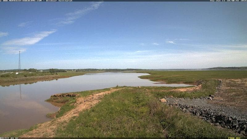 Windsor Salt Marsh