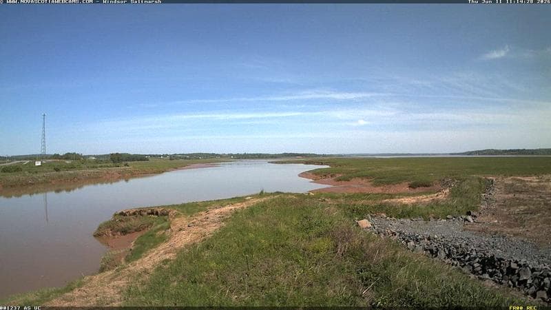 Windsor Salt Marsh