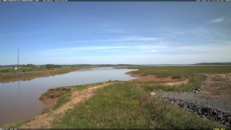 Windsor Salt Marsh