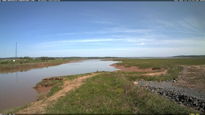 Windsor Salt Marsh