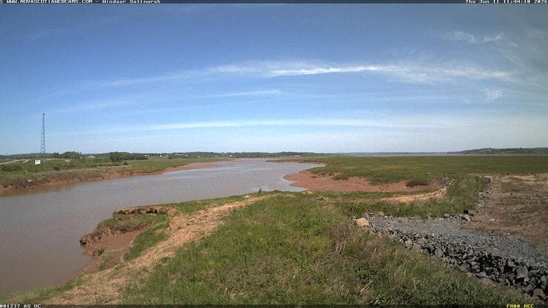 Windsor Salt Marsh