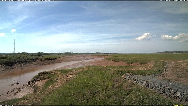 Windsor Salt Marsh