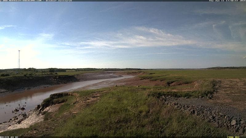 Windsor Salt Marsh