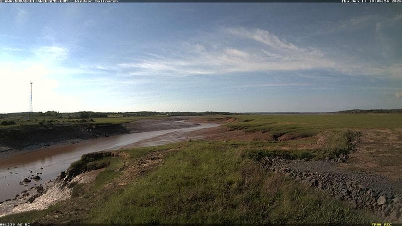 Windsor Salt Marsh