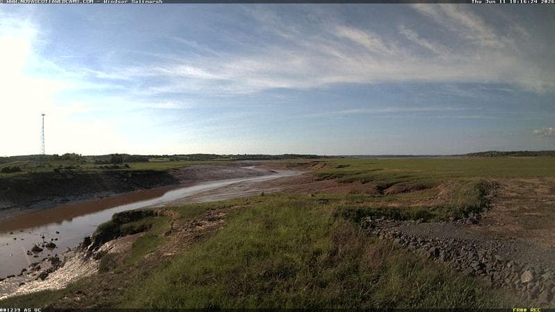 Windsor Salt Marsh