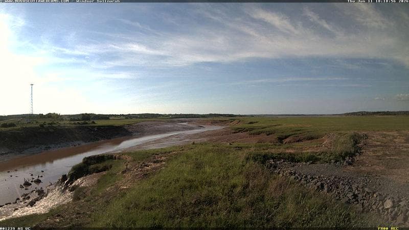 Windsor Salt Marsh