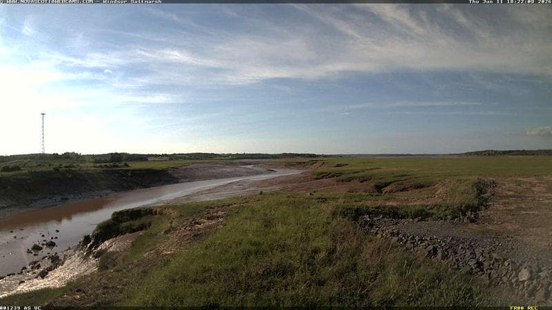 Windsor Salt Marsh