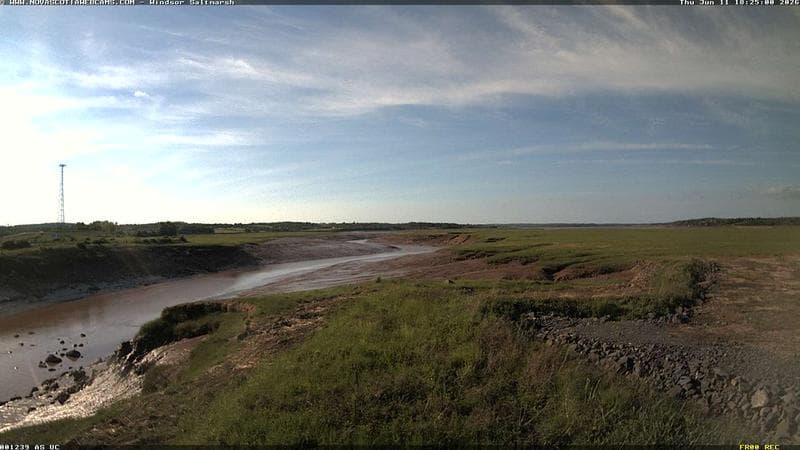 Windsor Salt Marsh