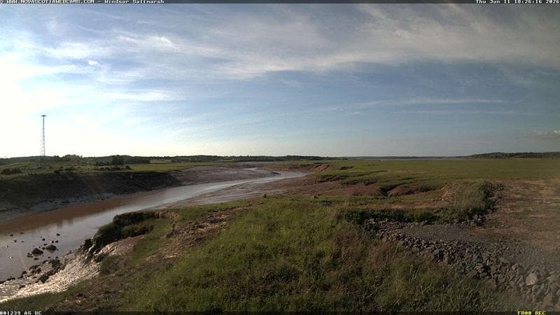 Windsor Salt Marsh
