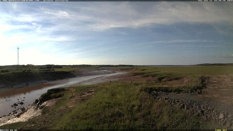 Windsor Salt Marsh