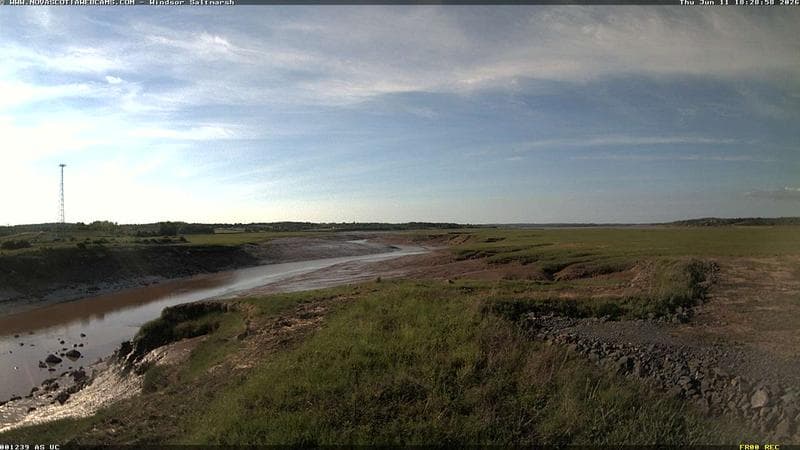 Windsor Salt Marsh