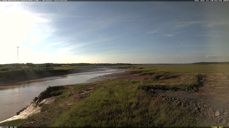 Windsor Salt Marsh