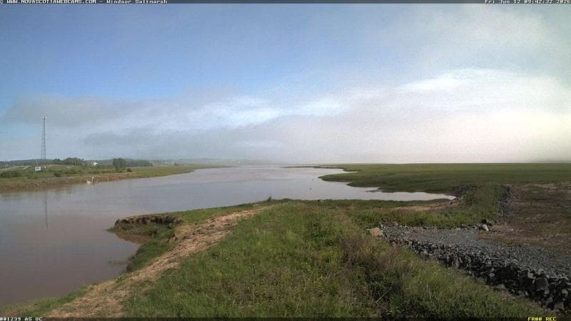 Windsor Salt Marsh