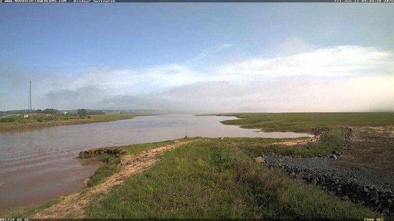 Windsor Salt Marsh