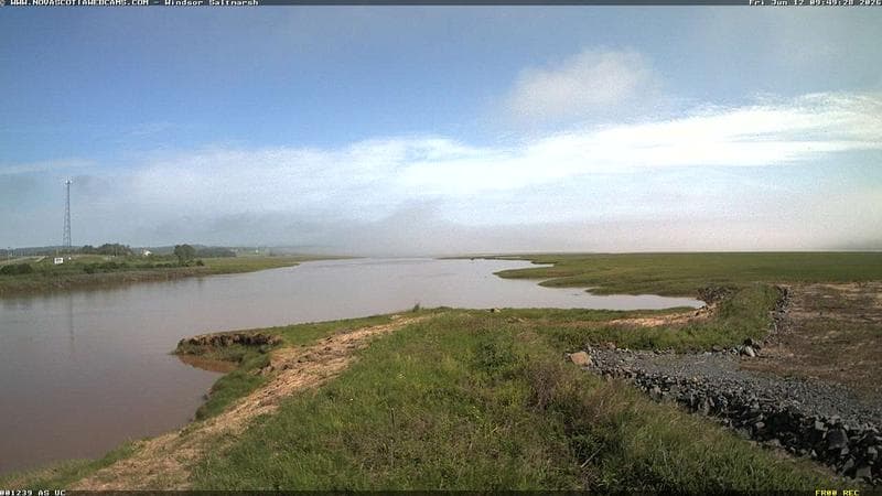 Windsor Salt Marsh
