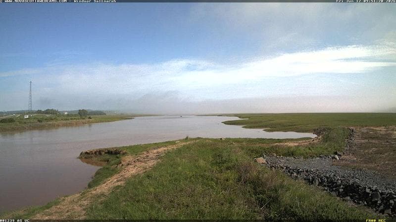 Windsor Salt Marsh