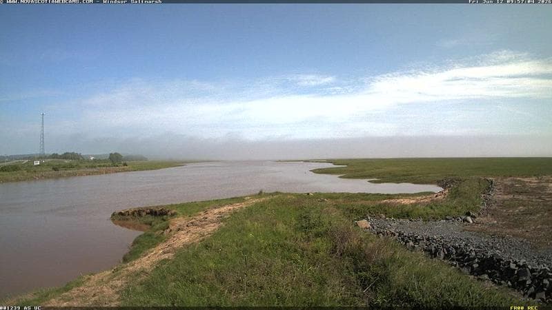 Windsor Salt Marsh