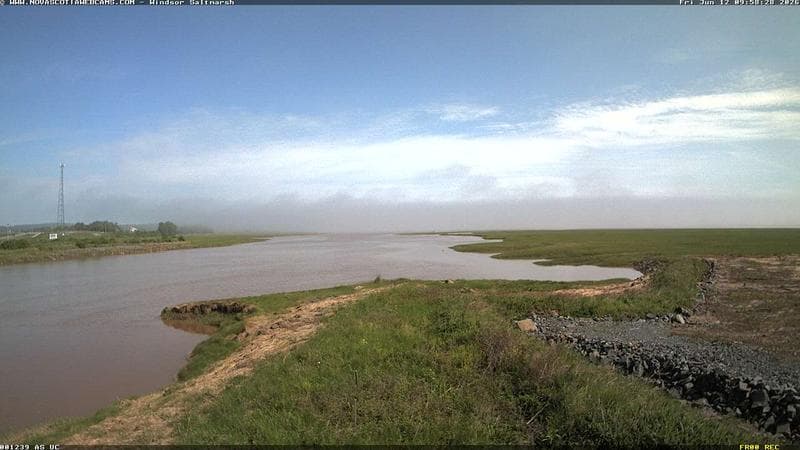 Windsor Salt Marsh