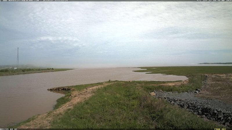 Windsor Salt Marsh