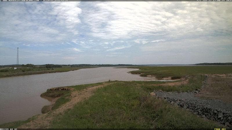 Windsor Salt Marsh