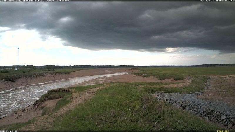 Windsor Salt Marsh