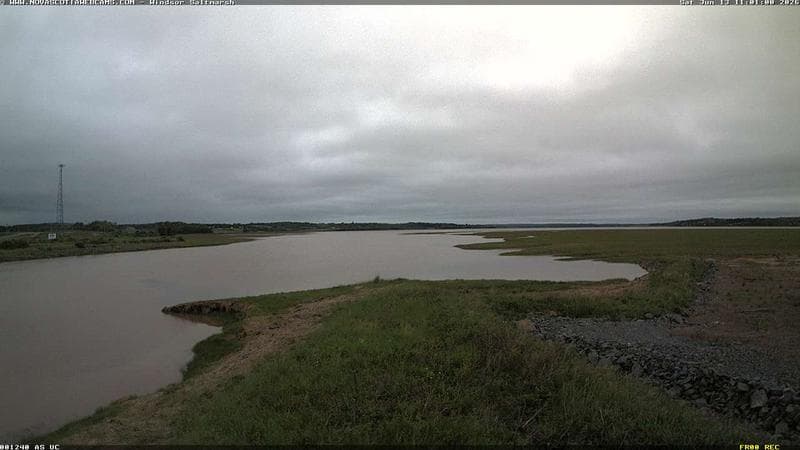 Windsor Salt Marsh