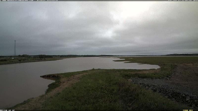 Windsor Salt Marsh