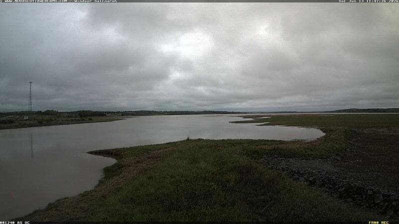 Windsor Salt Marsh