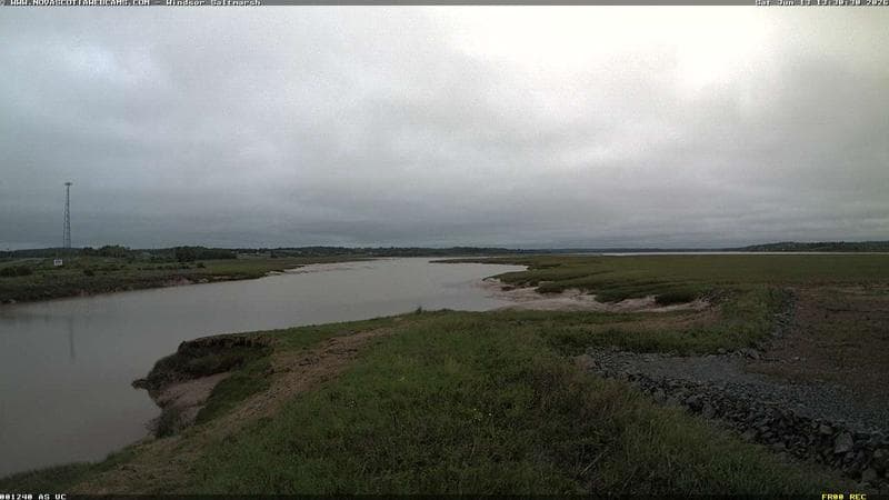 Windsor Salt Marsh