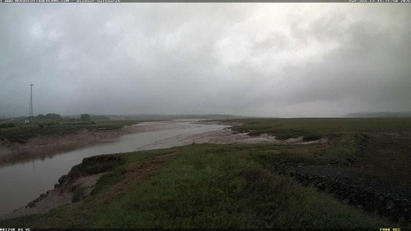 Windsor Salt Marsh
