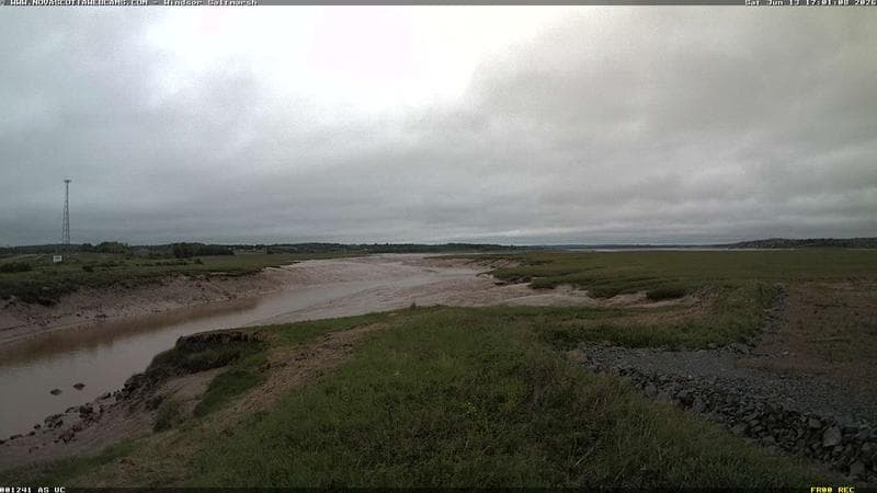 Windsor Salt Marsh