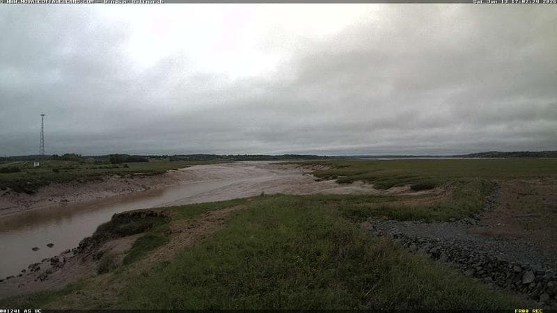 Windsor Salt Marsh