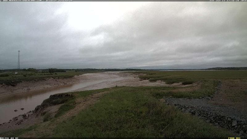Windsor Salt Marsh