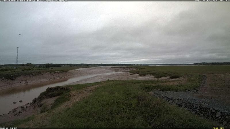 Windsor Salt Marsh
