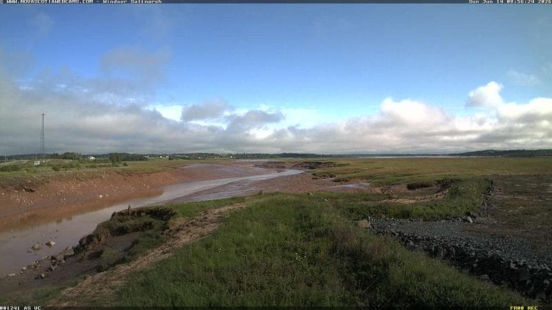 Windsor Salt Marsh