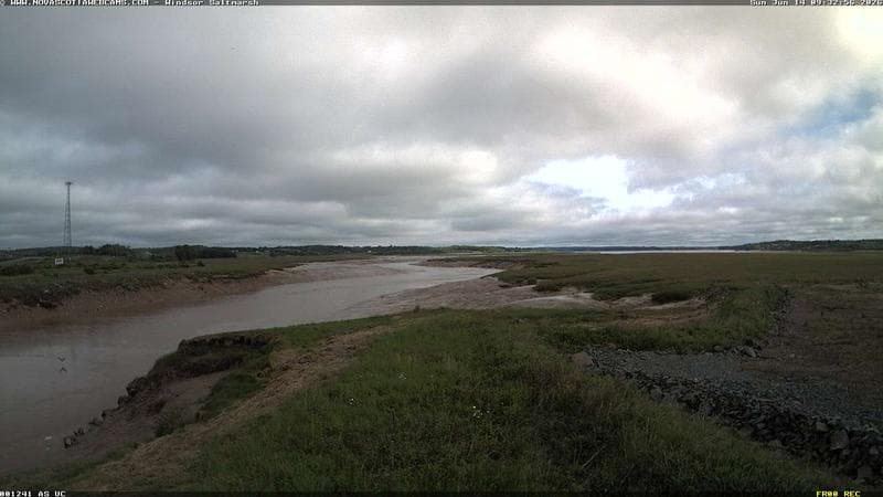 Windsor Salt Marsh
