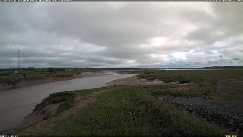 Windsor Salt Marsh