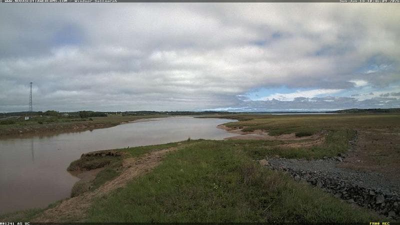 Windsor Salt Marsh