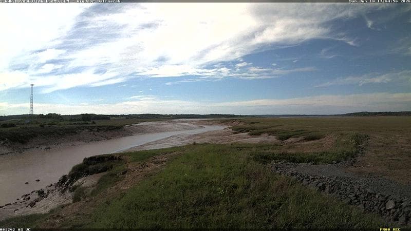 Windsor Salt Marsh