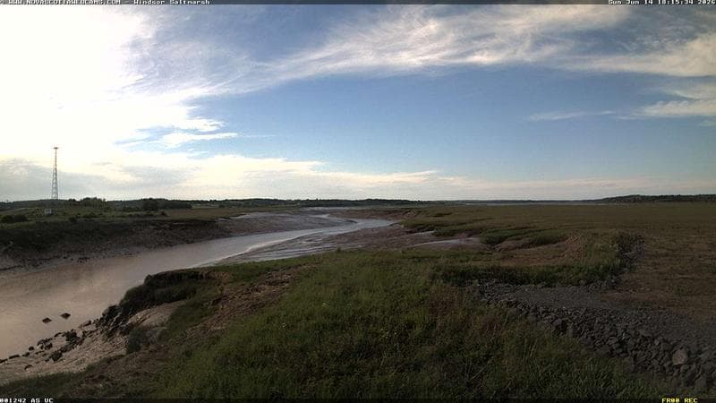Windsor Salt Marsh