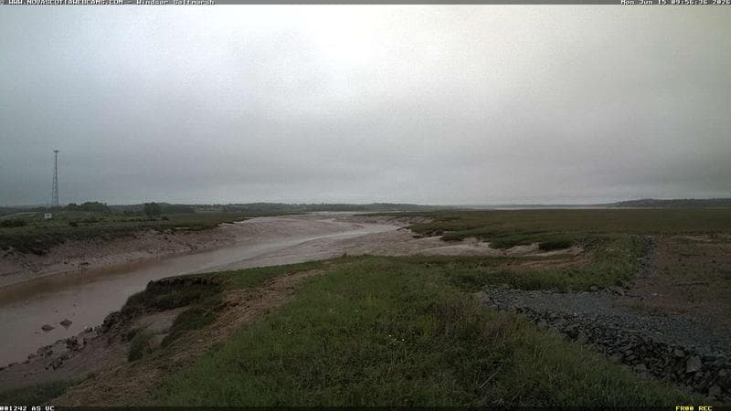 Windsor Salt Marsh