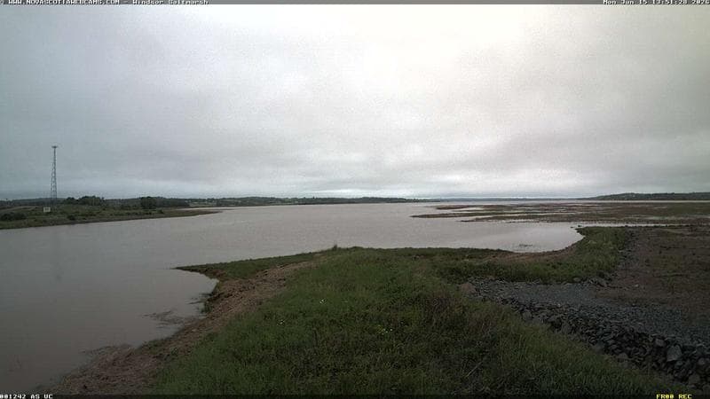 Windsor Salt Marsh