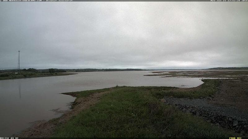 Windsor Salt Marsh